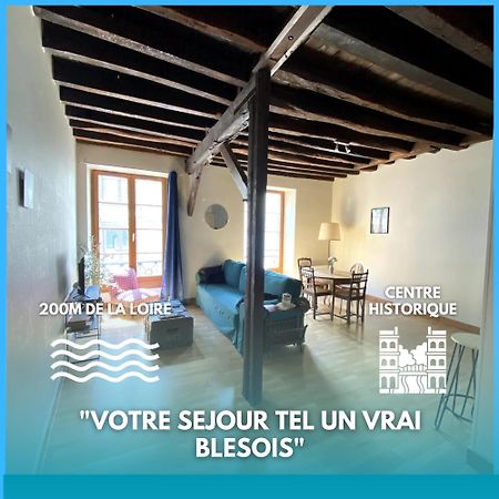 Апартаменты L'Escapade Blesoise - Hyper Centre Блуа Экстерьер фото